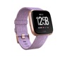 Fitbit Versa Watch Special Edition