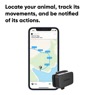 Invoxia Pet Tracker - GPS lokátor pre zvieratá