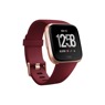 Fitbit Versa Watch Lite Edition